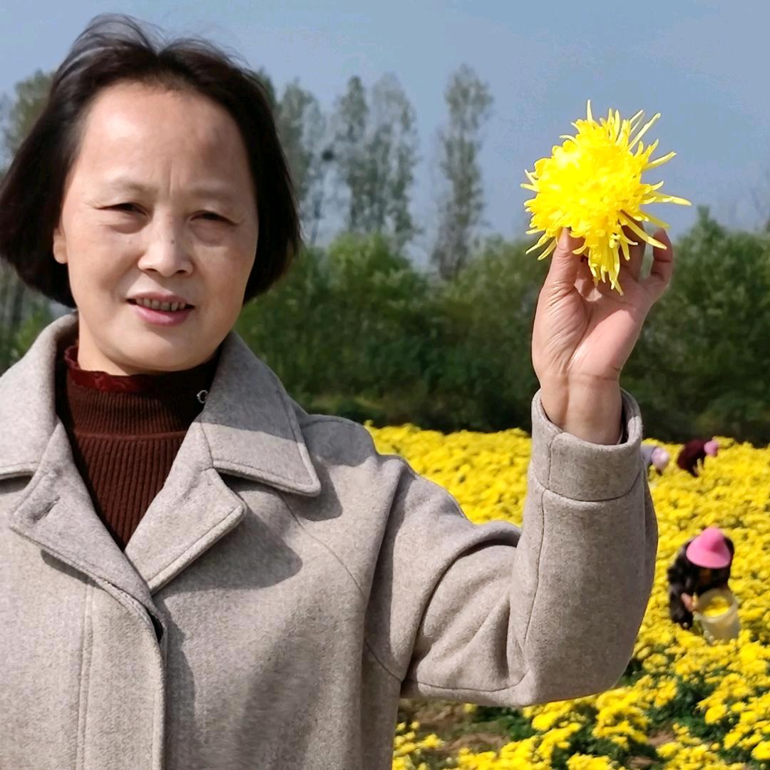 鑫鑫橱窗