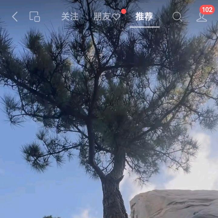 打工羊