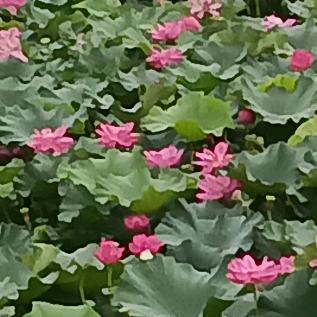 勇者胜。🌞💞👍