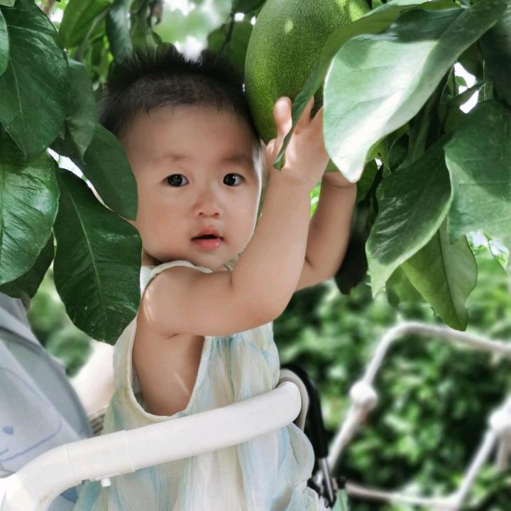 是君琴也是小太阳麻麻呀