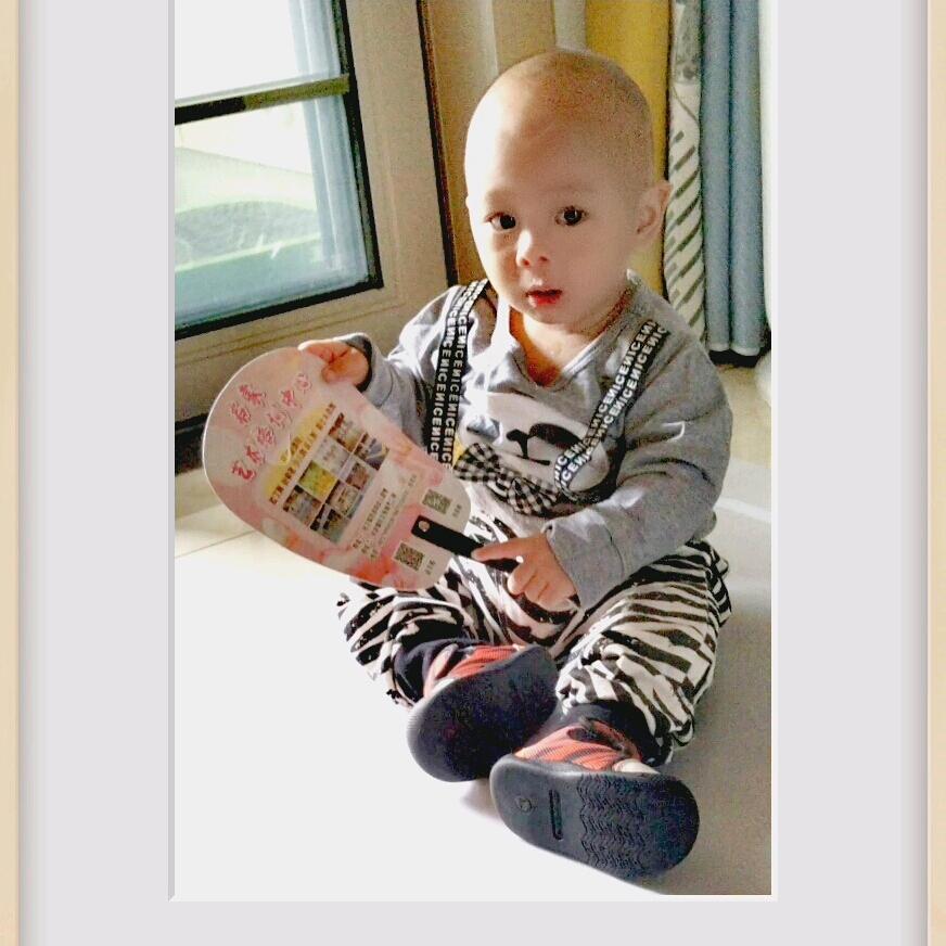 逆风飞翔