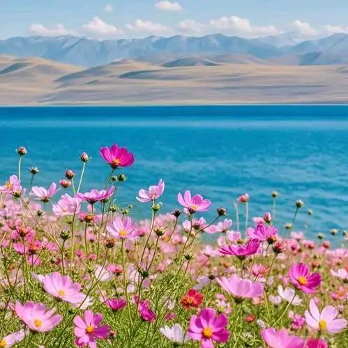 午夜飞雪的春天头像