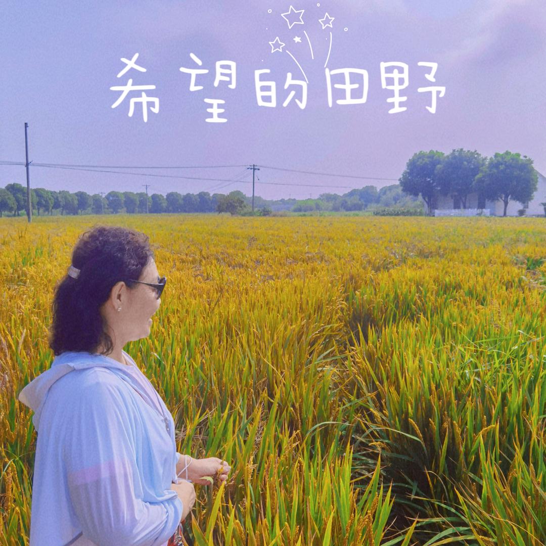 健身队一支花🌺