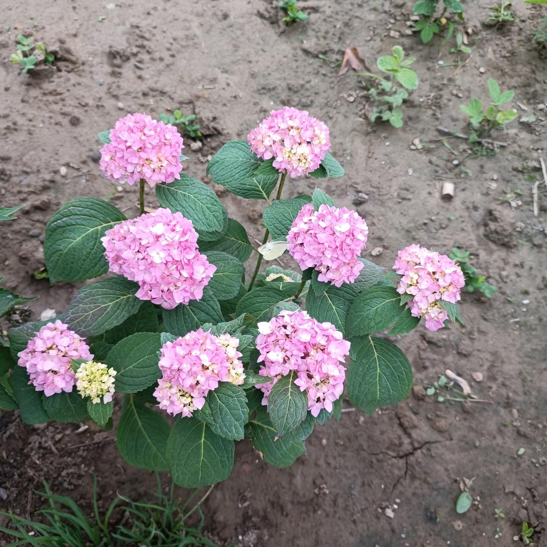 生活不易，且行且珍惜