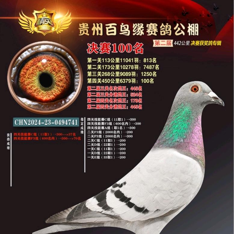 @雷霆之姿～乘风破雾