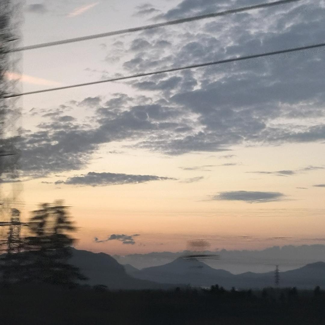 灰灰hui