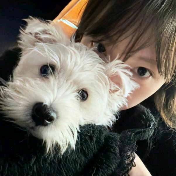 超人真的不会飞🦸‍♂️