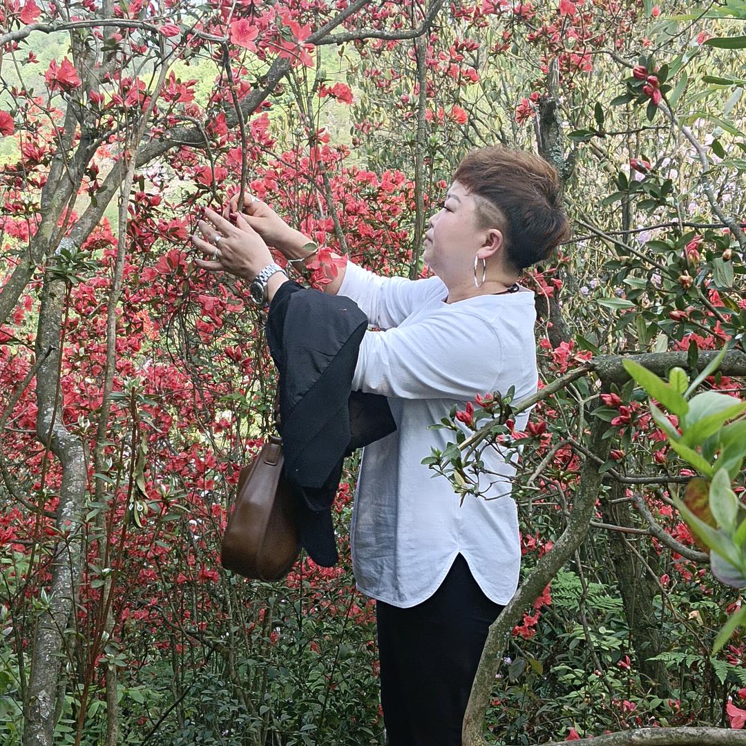 欧阳敏单身一个人🍒