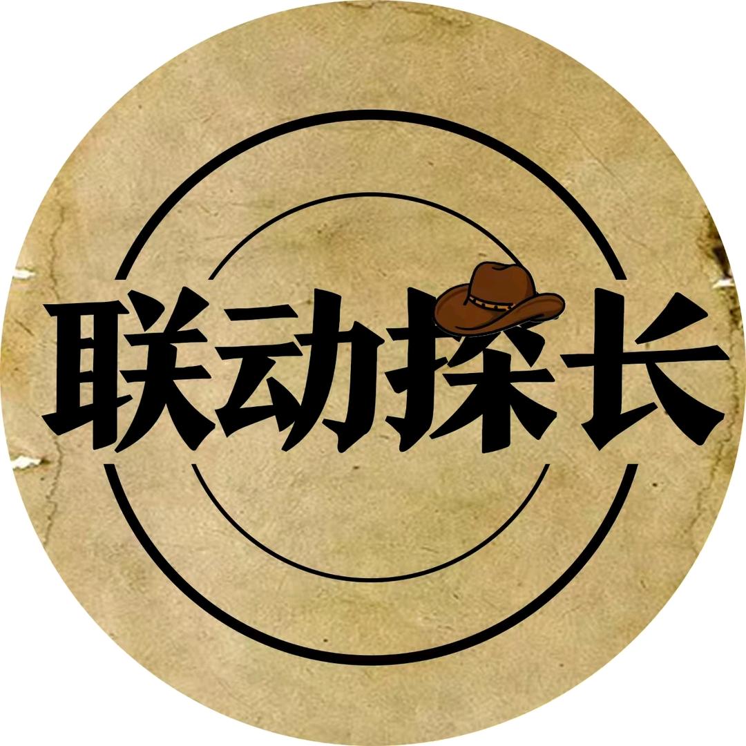 联动探长