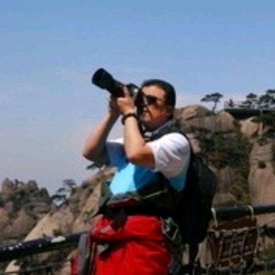 龍之媒