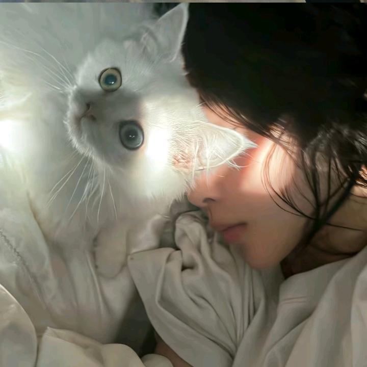 十一🫧