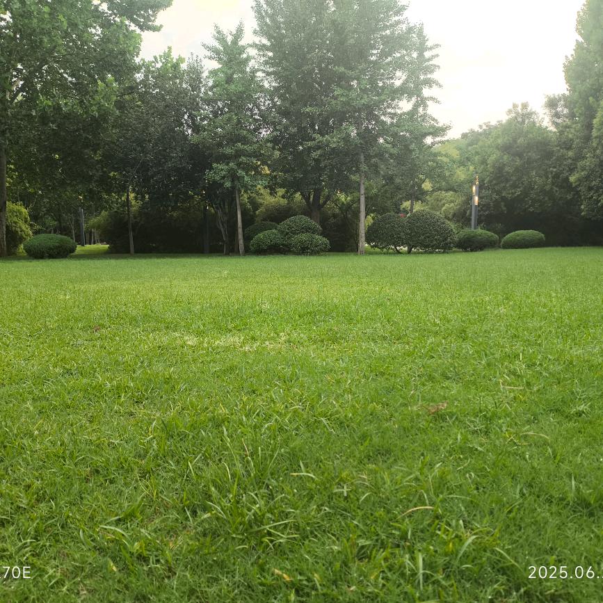 秦东魁国学课