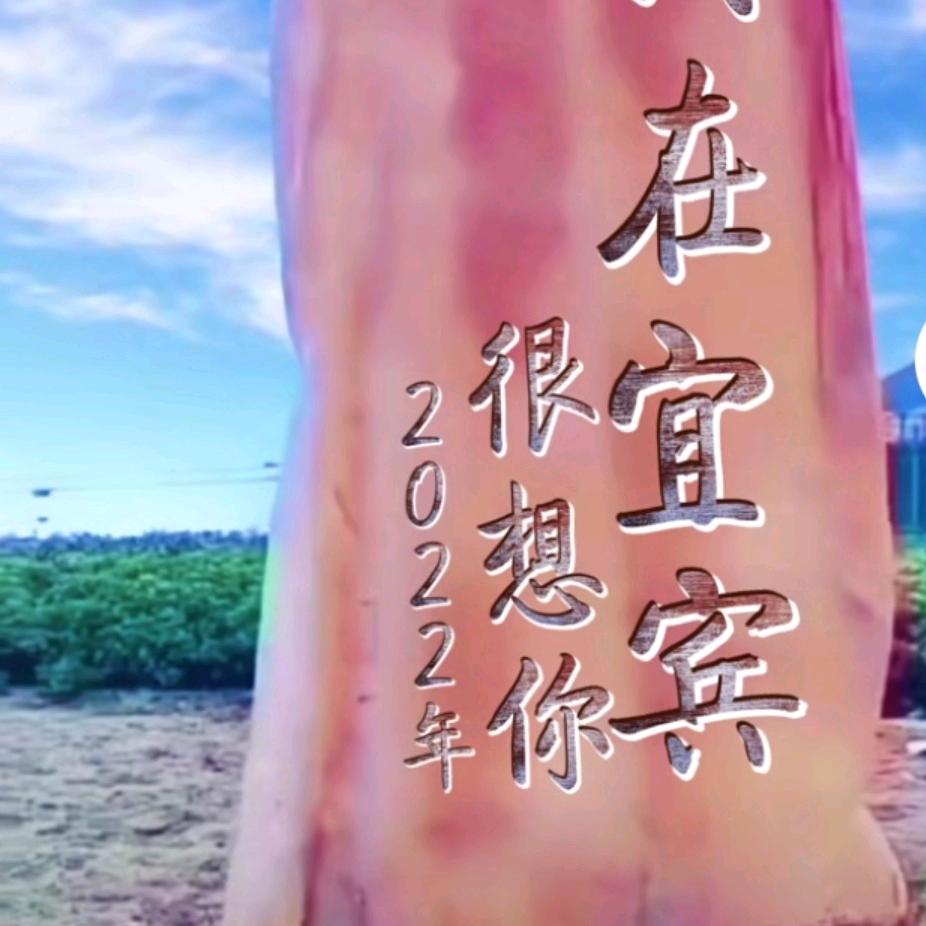 ╰︶  醉後决定乂上伱