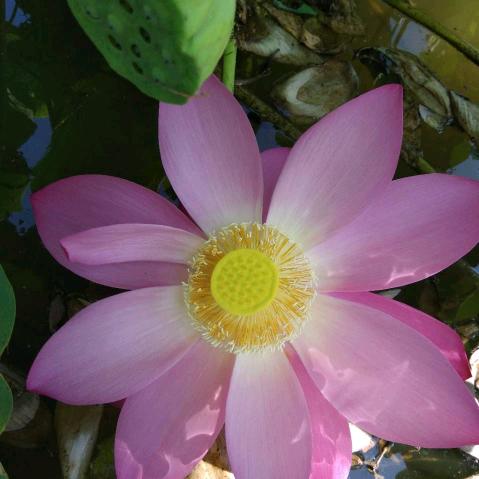 光阴荏苒