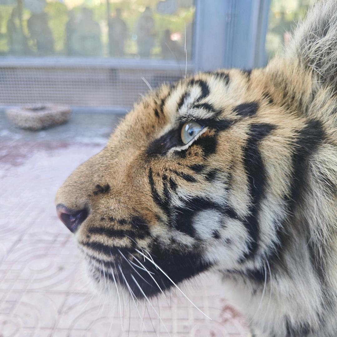 任何困难吓不倒