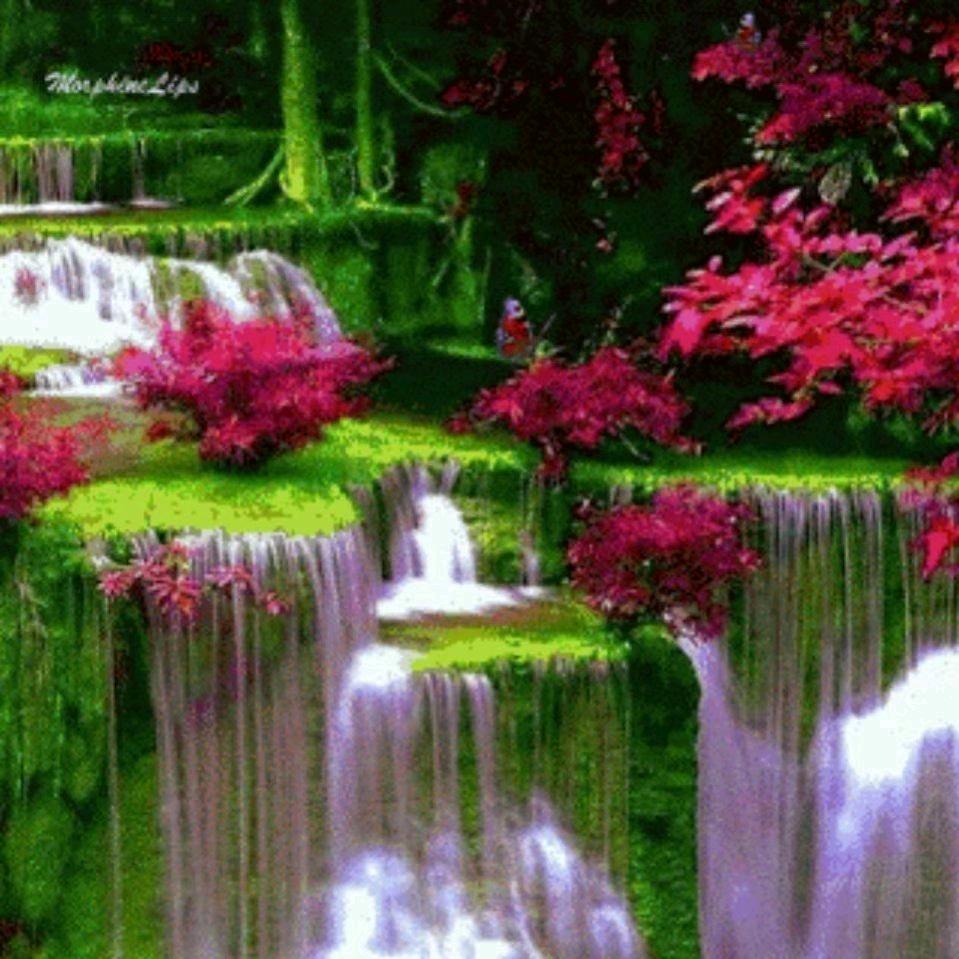 好运满满《鼎药世家》