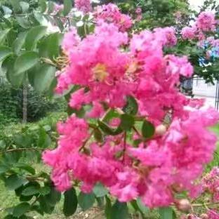 建康家禽销售门市21号