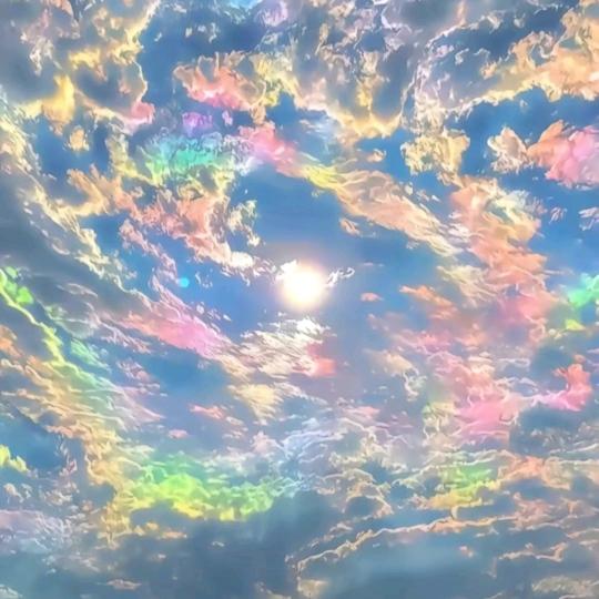 金生鄱溪滨👆🏻