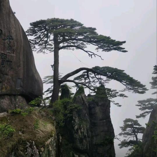 繁华