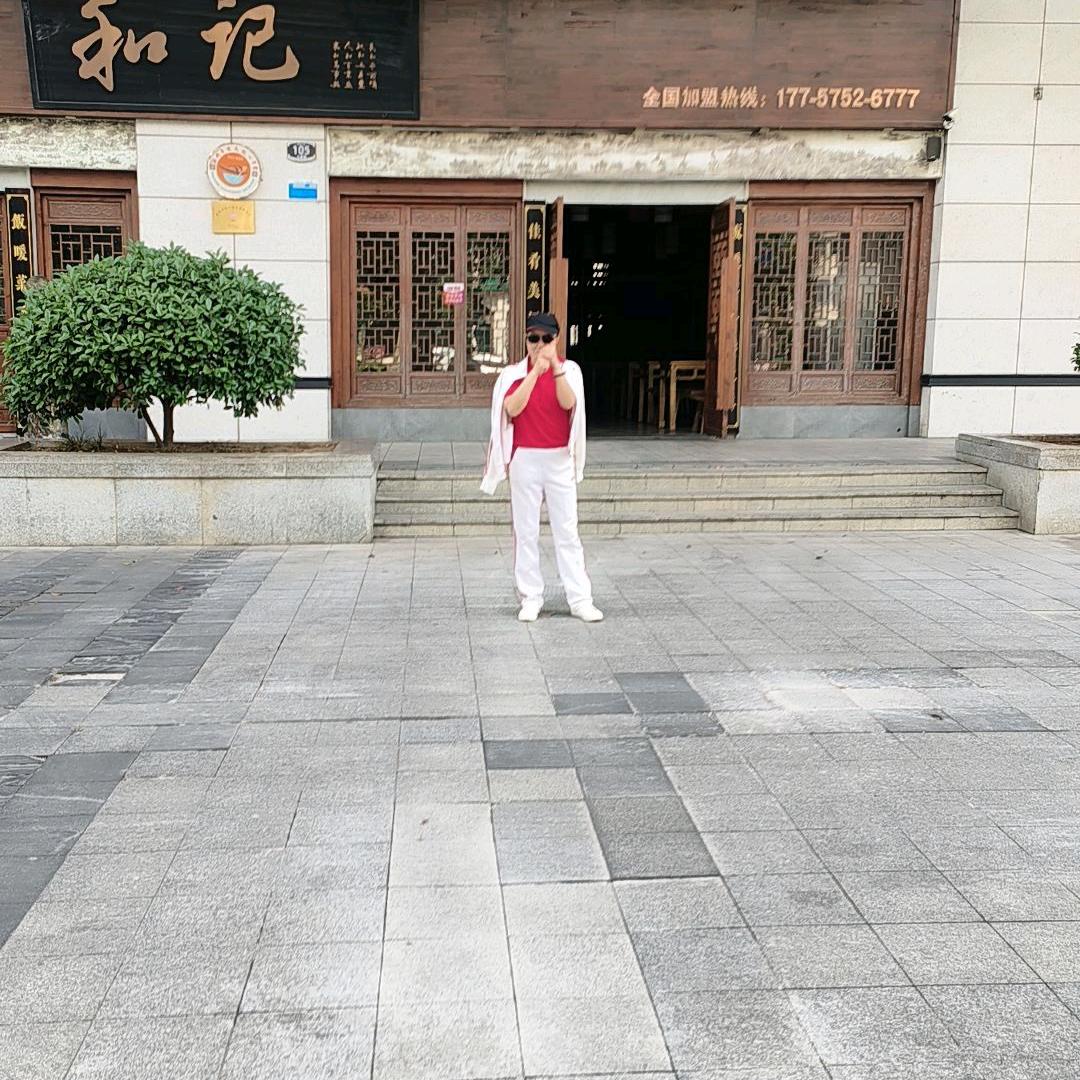 燕儿翩翩飞