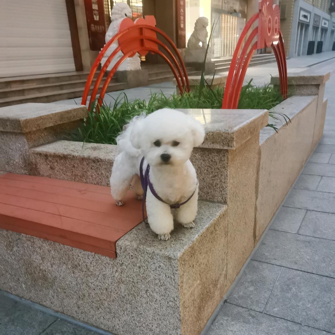 幸福的一家人