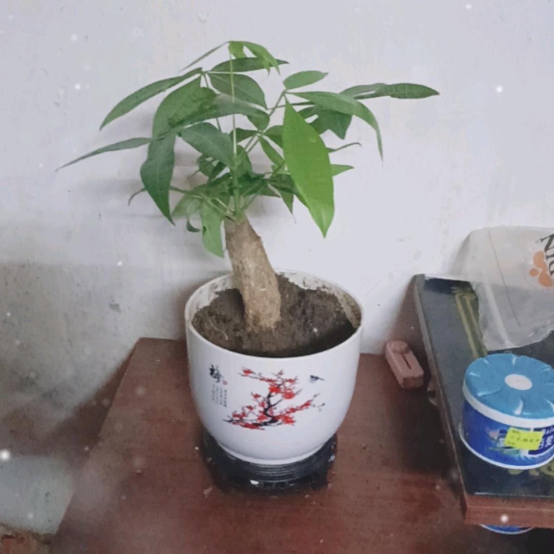 方秋雄