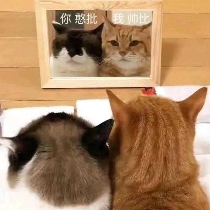 好好学习  天天向上