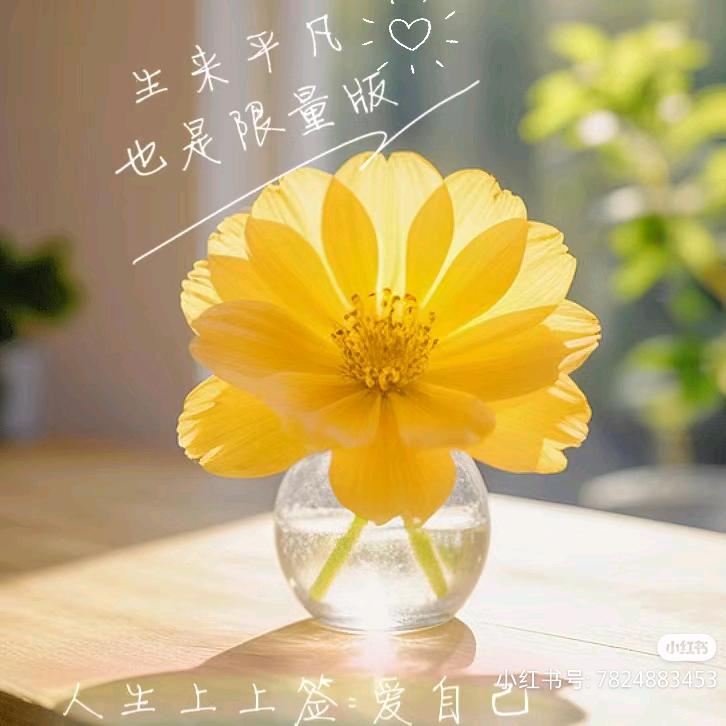 @荷花