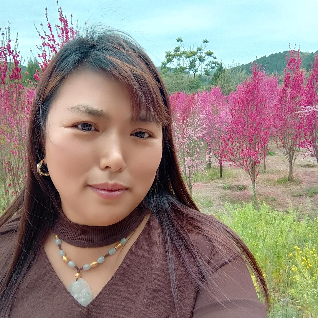 燕子等你来爱