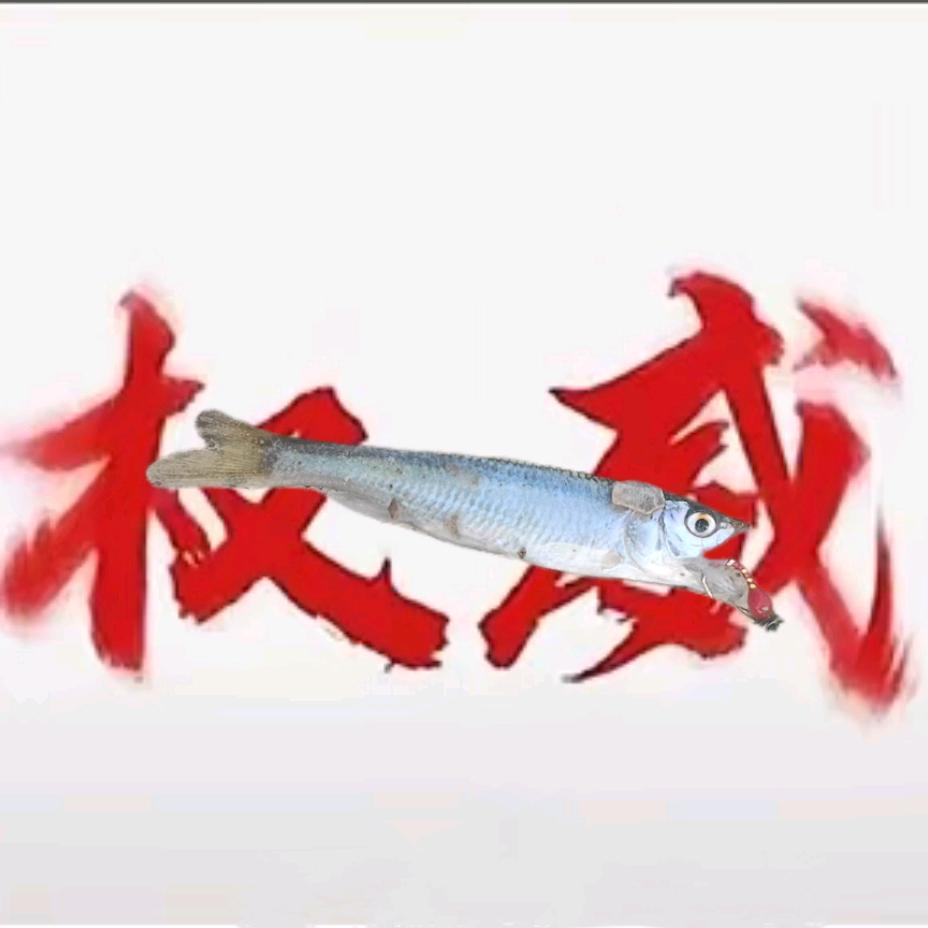 钓到鱼就改名