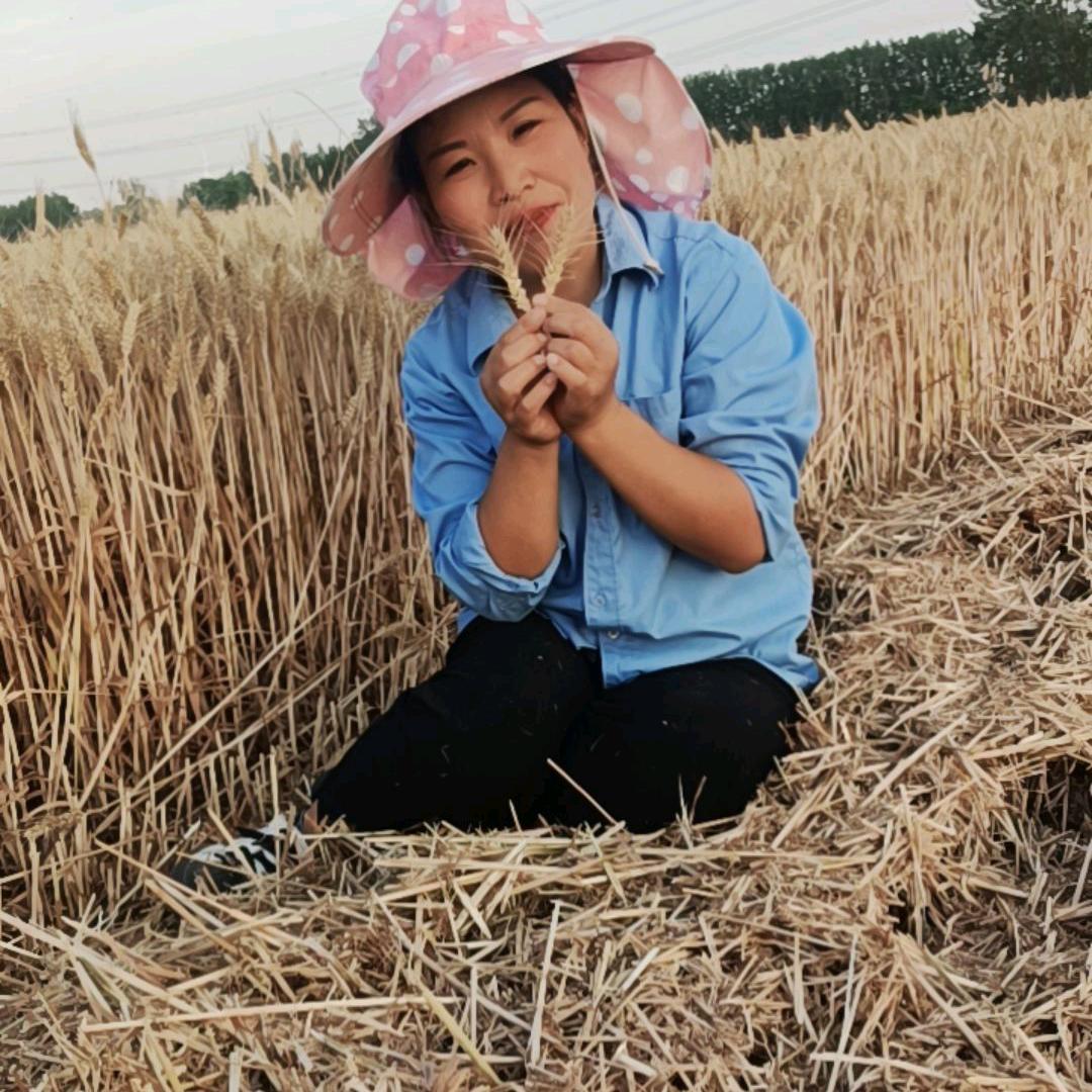 陇上日记（涨粉中:)