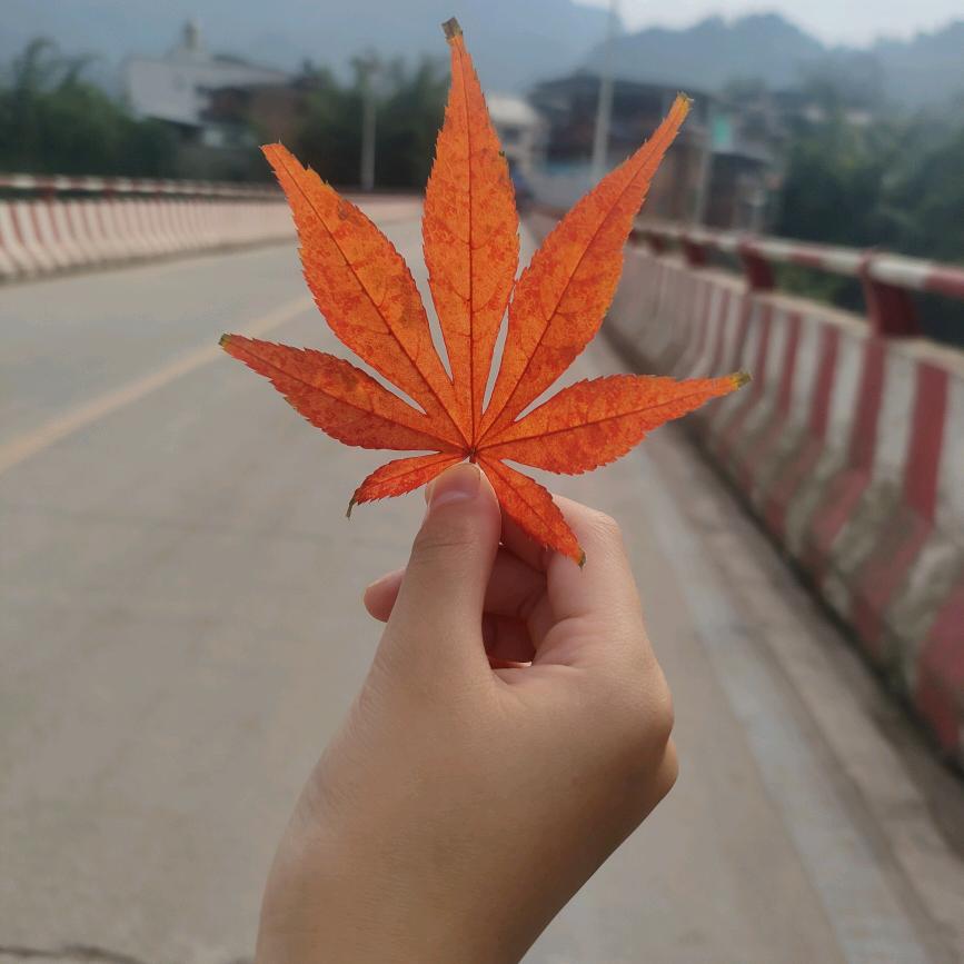 似氺流年