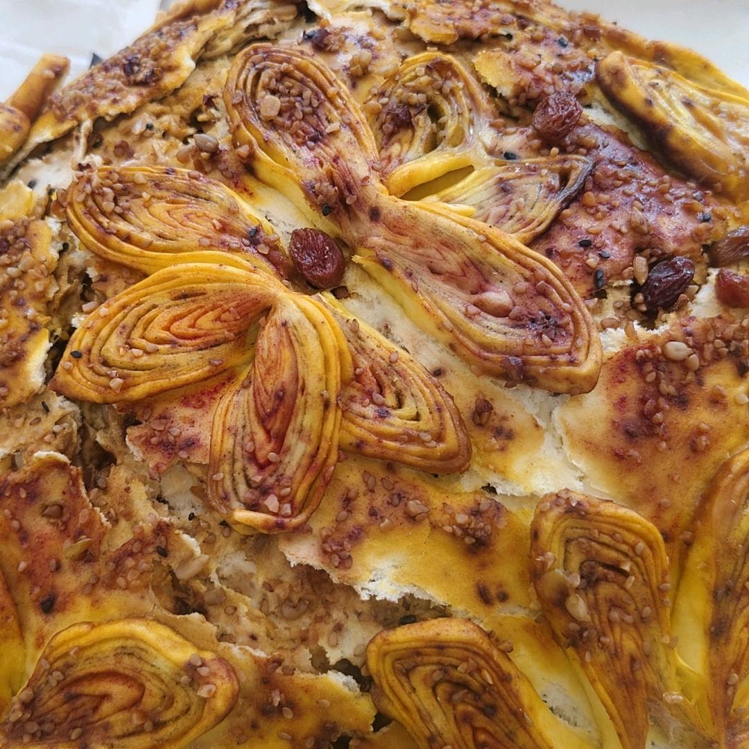 田姐的日常生活