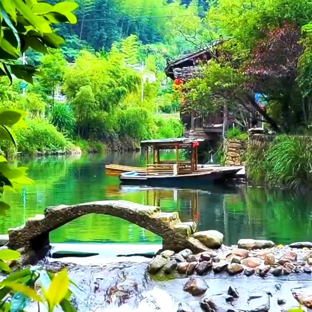 执意2013头像
