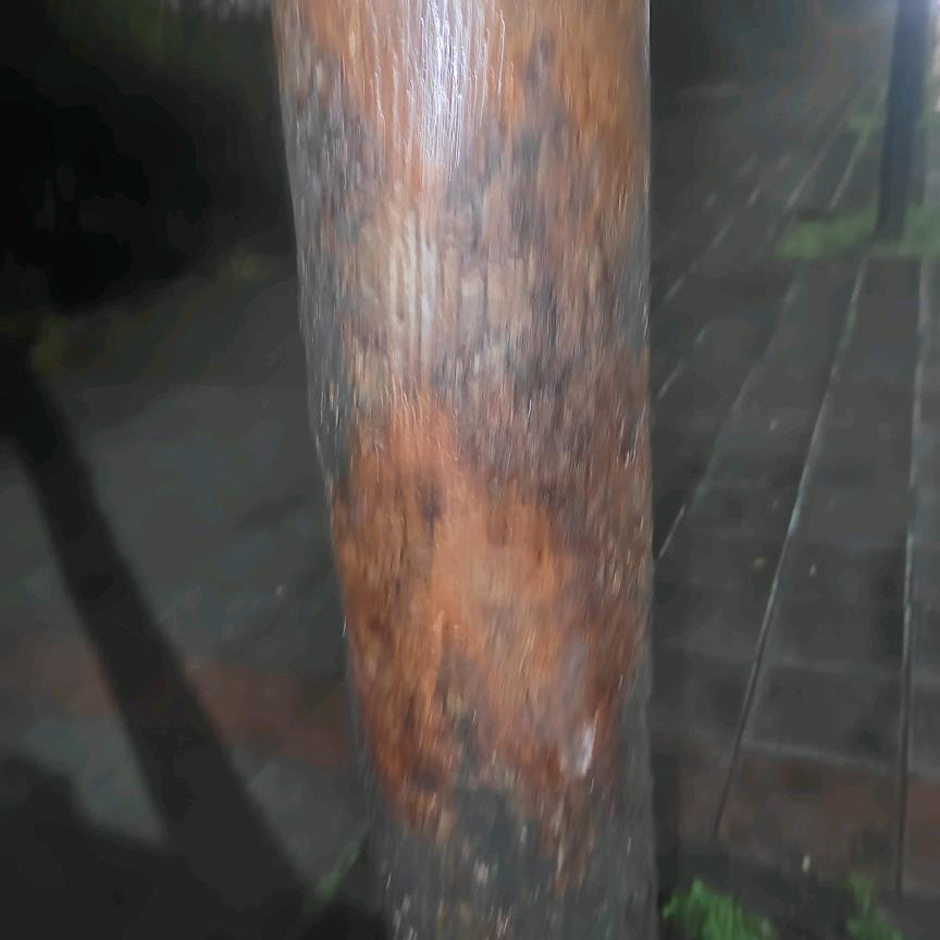 李三