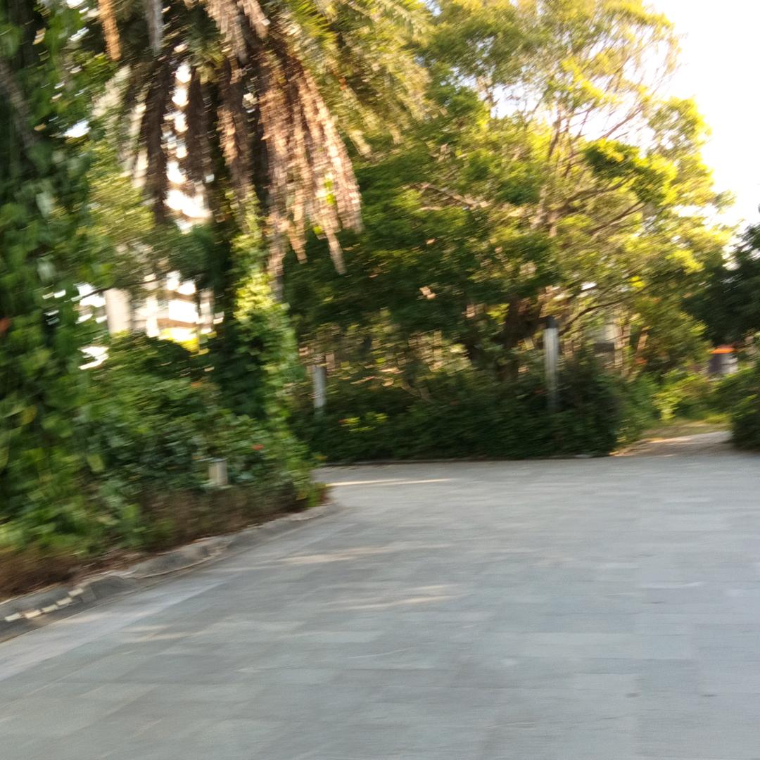 浪漫风景