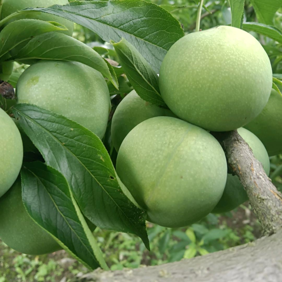 笑看人生，一切随缘