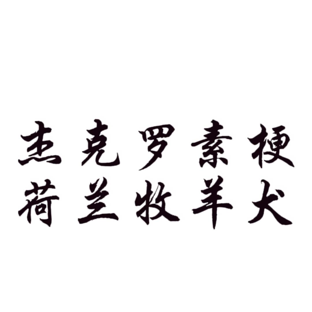 杰克罗素梗 风子