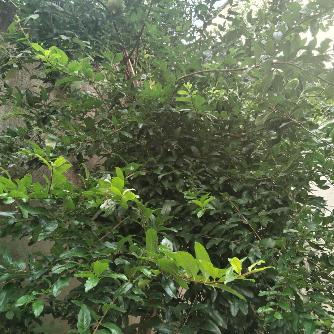同甘共苦