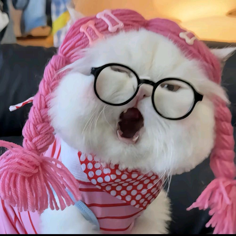 咚咚羊