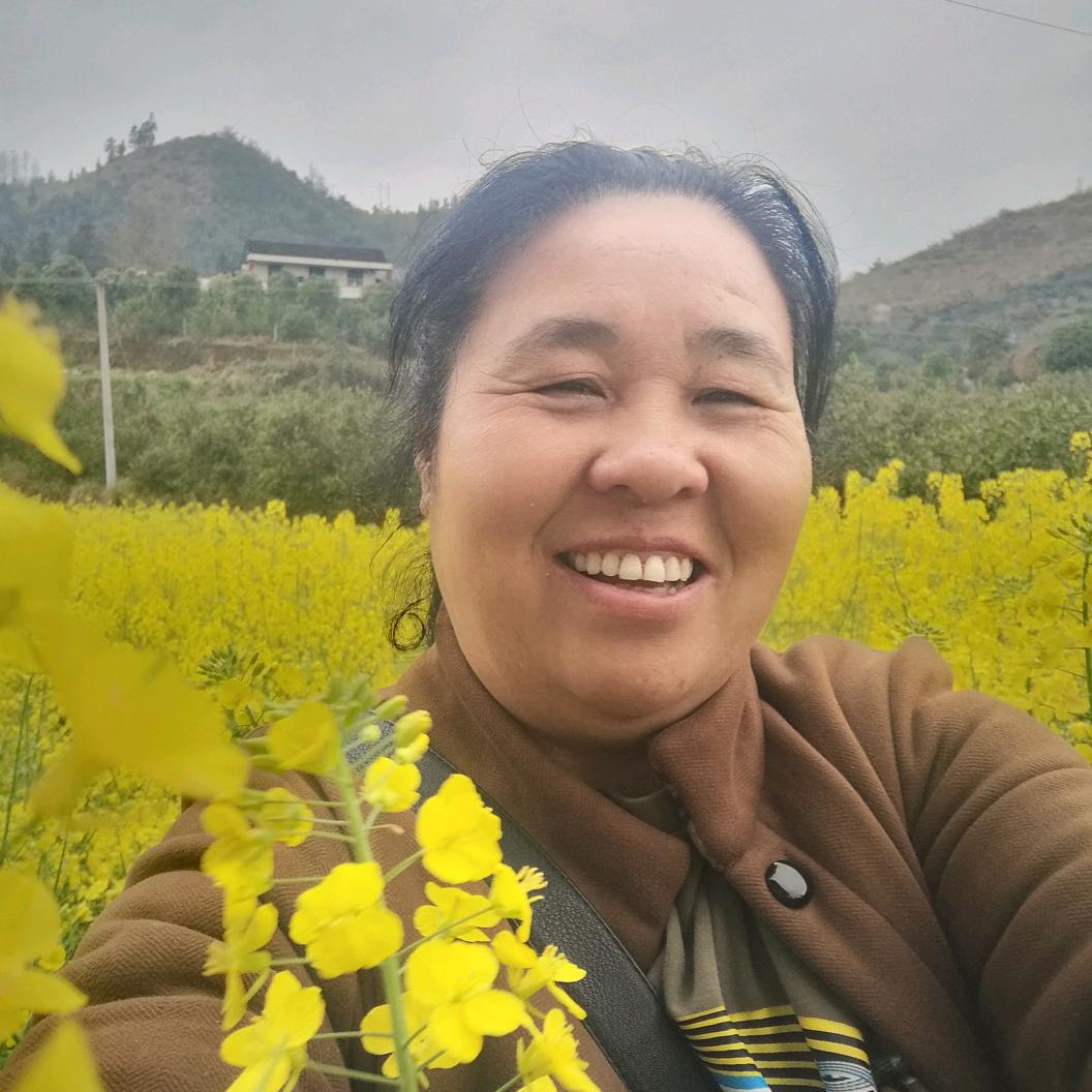 书语婆婆 （筹备中）