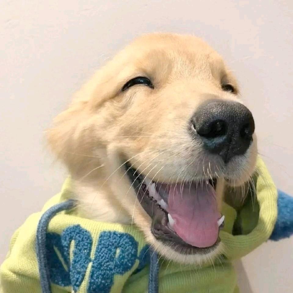 开心100