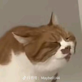 比较像一次