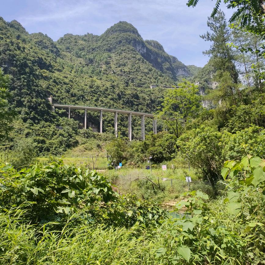 往后一生只有你。