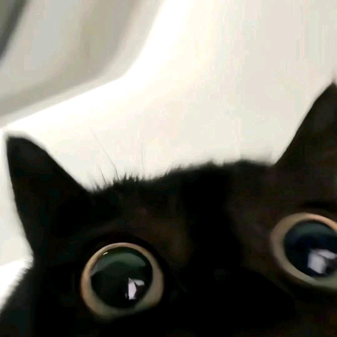 与仙人重修旧好