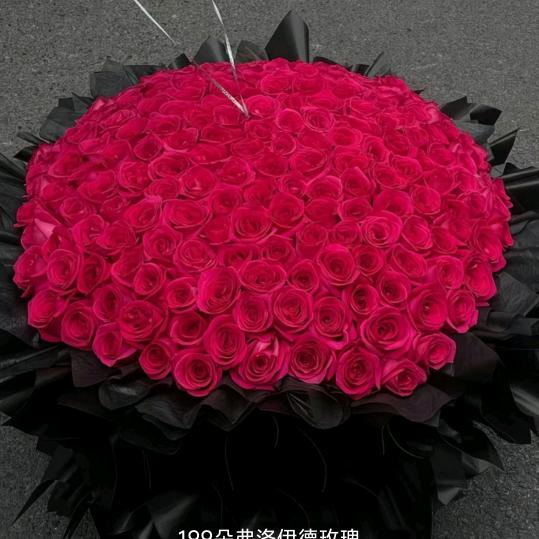 胡家大小姐