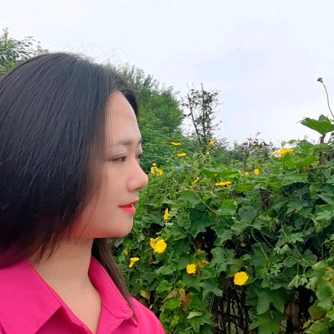 秦琴不弹琴