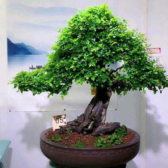 怡锋