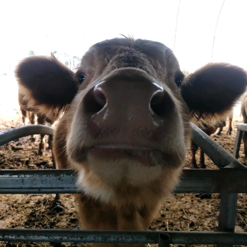太湖县洲弘家庭农场