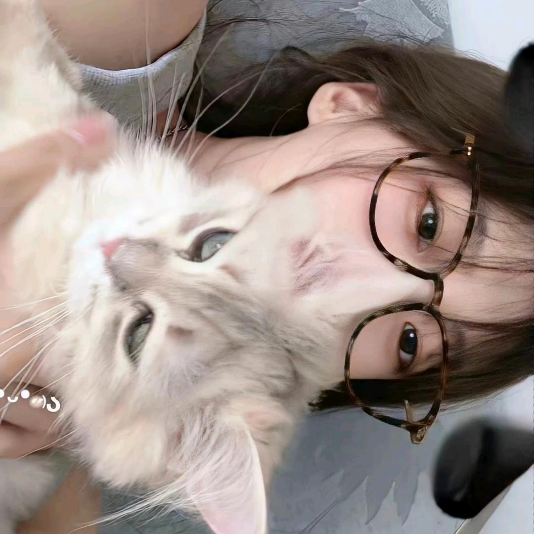 糕冷
